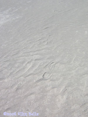 Footprint in Playa Dust