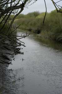 tide in the channel