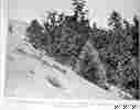 figure 24