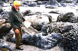 Frank visits the tidepools