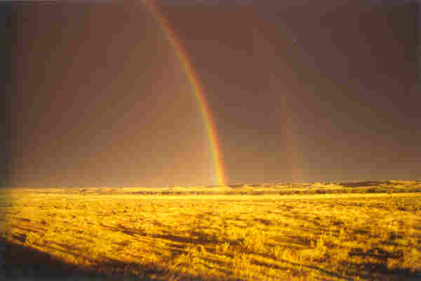 Wyoming Rainbow