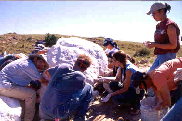 Plastering the blocks